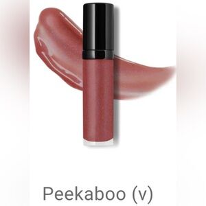3 PCS OF PEEKABOO LUXURY LIPGLOSS FROM PROFESSIONAL MAKEUP ARTIST COUNTER!!!
